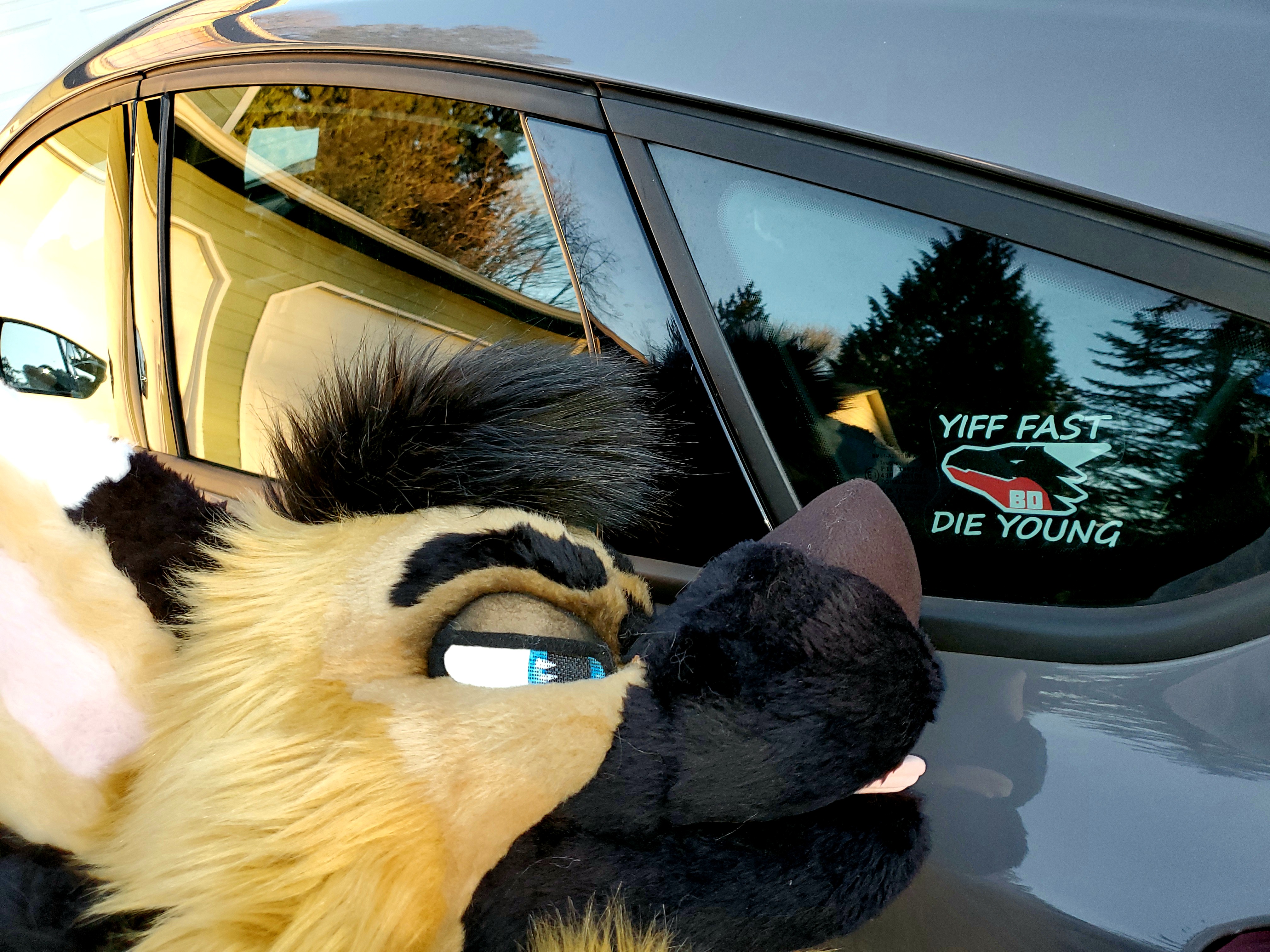 Trash, trash everywhere