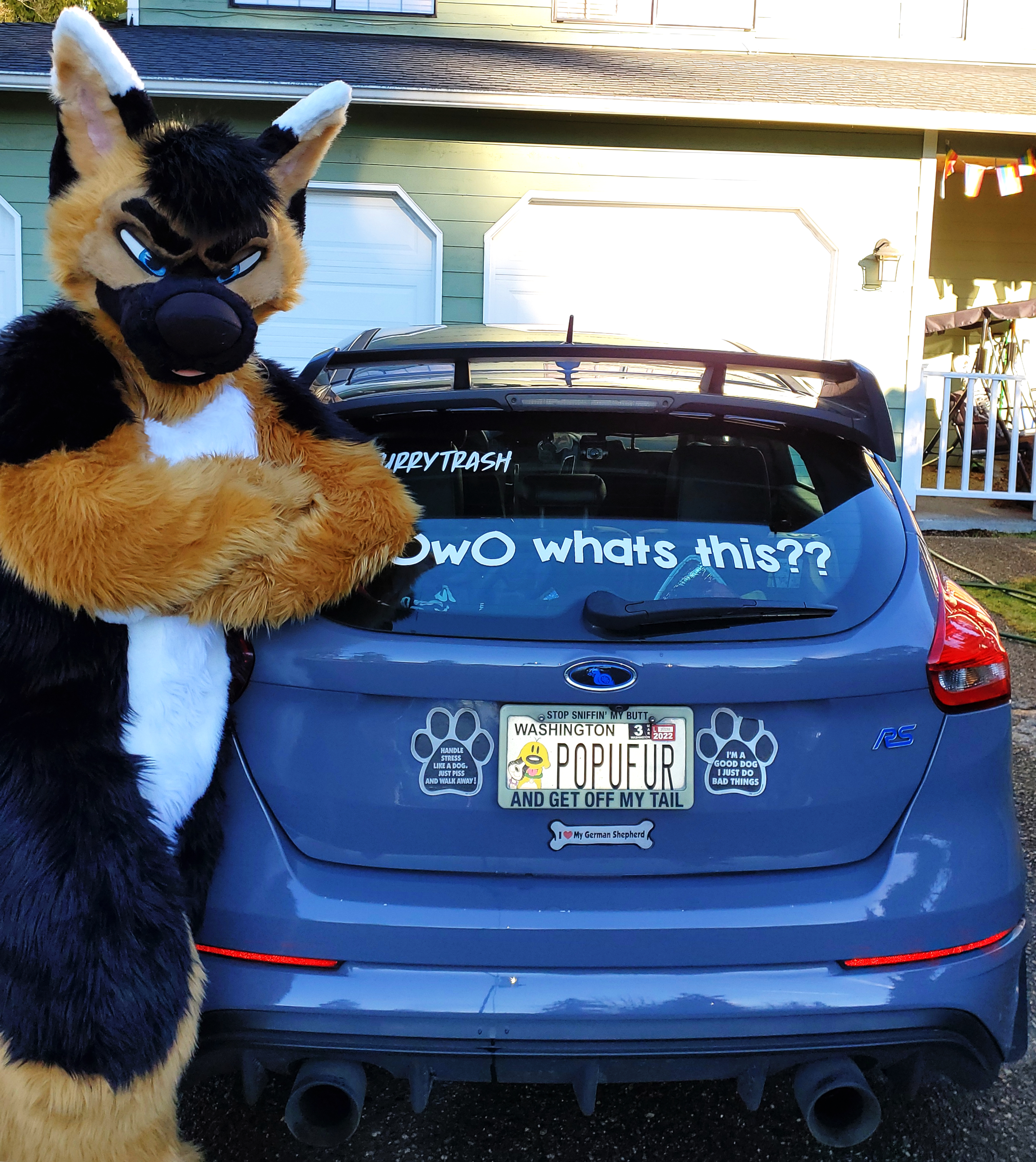 My furry trash car